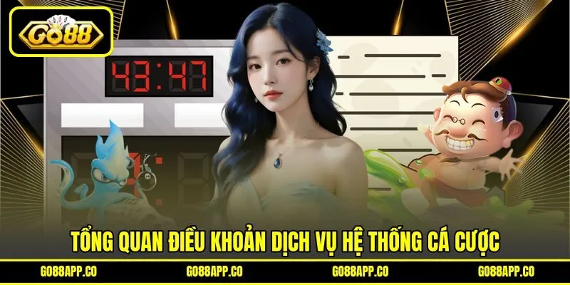 Tổng quan điều khoản dịch vụ hệ thống cá cược